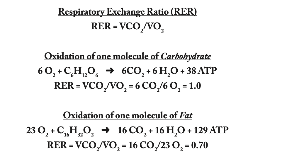 Respiratory Exchange Ratio (RER) Triple Victor